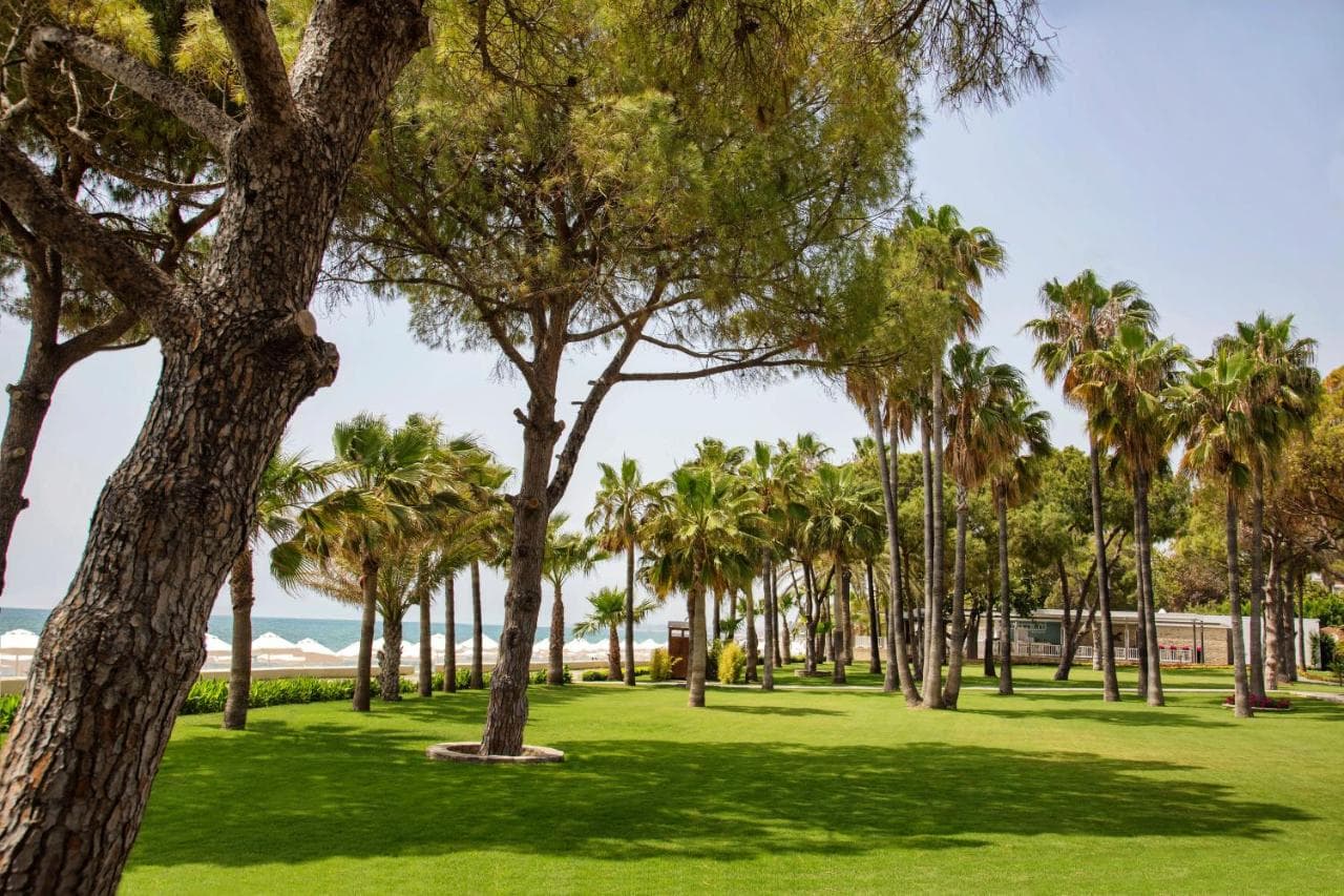 Acanthus Cennet Barut Collection - Ultra All Inclusive view 5